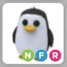 Pet | NFR Penguin