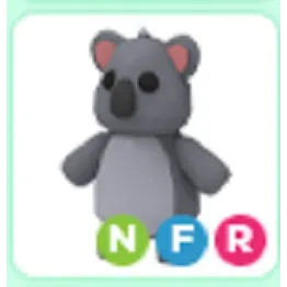 Pet | NFR Koala