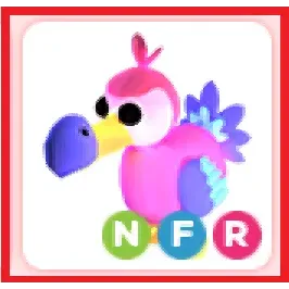 Pet | NFR Dodo