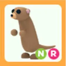 NR Meerkat