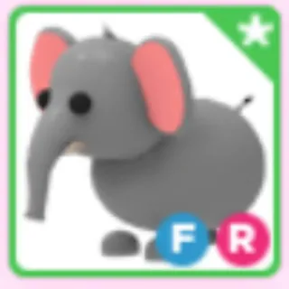 Pet | FR Elephant