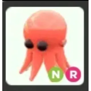 Pet | NR Octopus