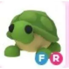 Pet | FR Turtle