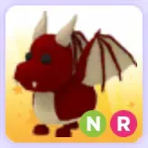 Pet | NR Dragon