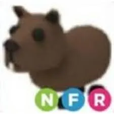 Pet | NFR Capybara