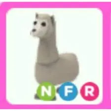 Pet | NFR Llama