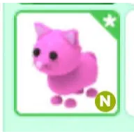 N Pink Cat