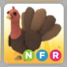 NFR Turkey