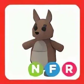 Pet | NFR Kangaroo