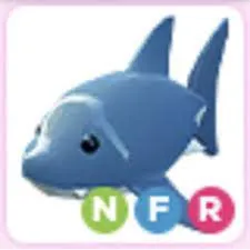 Pet | NFR Shark