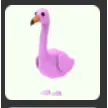 Pet | Flamingo