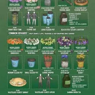 The Big Bloom All 26 Plans