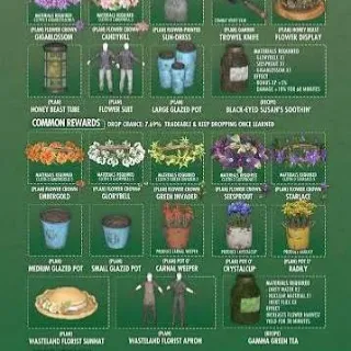 The Big Bloom All 26 Plans