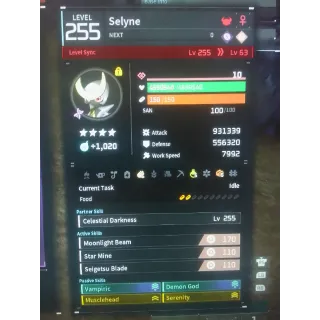 Selyne pal modded stats fighter