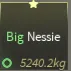 FISCH - Big Nessie (5240kg)