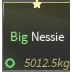 FISCH - Big Nessie (5012kg)