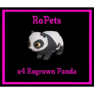 x4 Rogrown Panda ropets