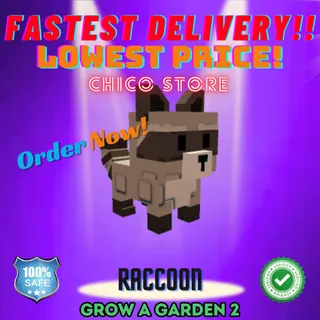 Raccoon