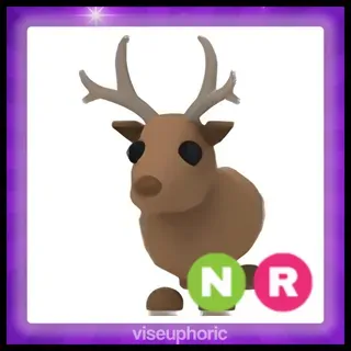 NFR - Reindeer