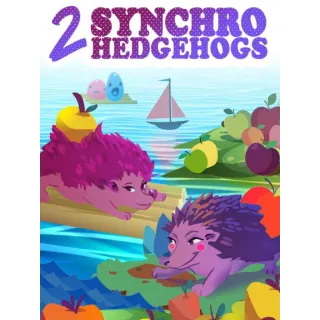 2 Synchro Hedgehogs (Windows Version)