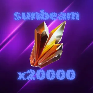 sunbeam x20000