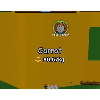 HUGE CARROT 80KG GAG2