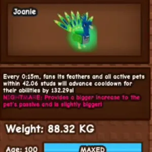 88KG TITAN NMARE 🦚