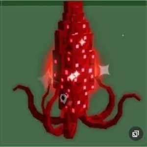 5x RUBY SQUID GOOD SIZE