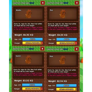 TITANIC ORANGE TABBY (BUNDLE 4X)