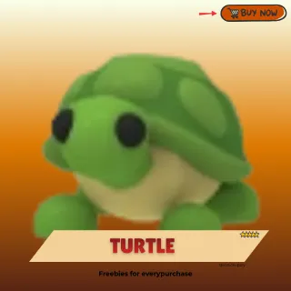 Turtle