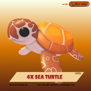 sea turtle