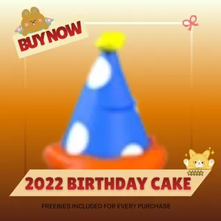 2022 birthday party hat