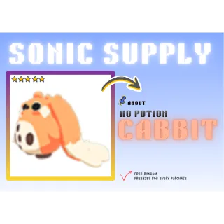 cabbit