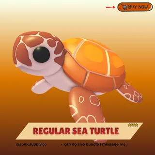 sea turtle