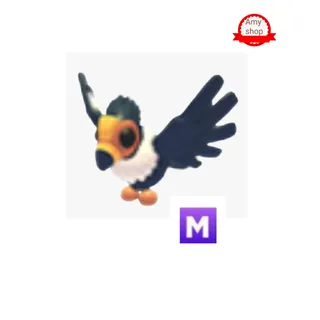 Mega California condor 