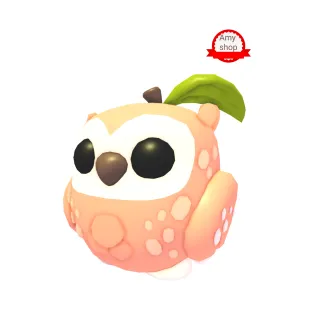 Peach owl