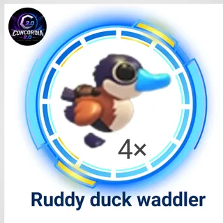 Ruddy duck waddler 