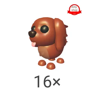 Irish setter 