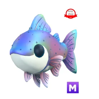 Mega rainbow trout 