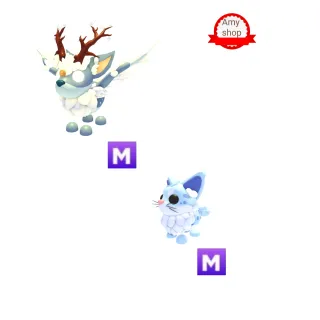 Mega Maine Coon mega Christmas Spirit