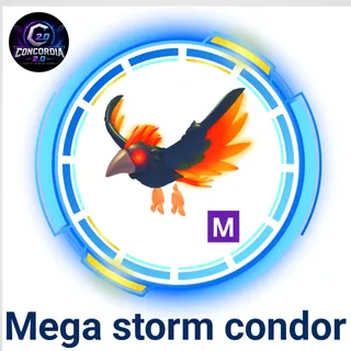 Mega storm condor