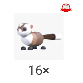 Black footed ferret