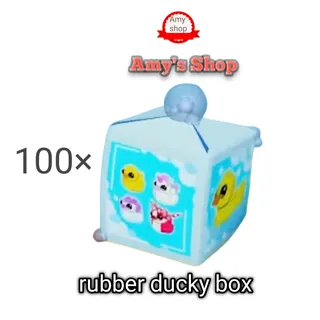 Rubber ducky box