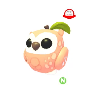 Neon peach owl