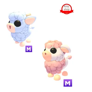 Mega angus cow mega angus calf