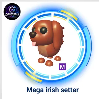 Mega irish setter 