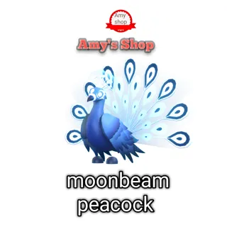 Moonbeam peacock 