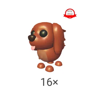 Irish setter 