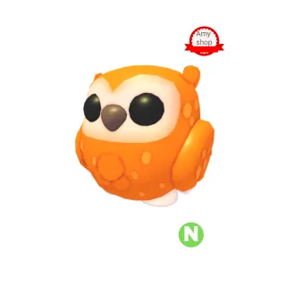Neon clementine owl