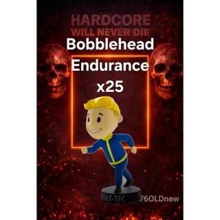 25x Endurance Bobbleheads